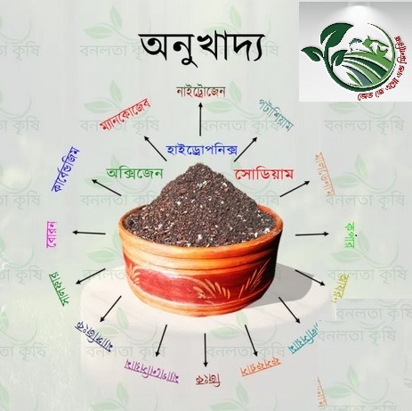 ১০ কেজি অনুখাদ্য বা সুষম সার